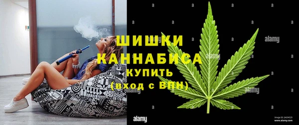 apvp Алзамай