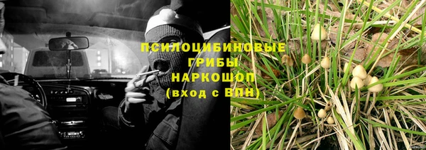 герыч Алексин
