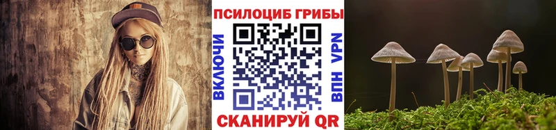 хочу   Покров  ОМГ ОМГ сайт  Псилоцибиновые грибы Cubensis 